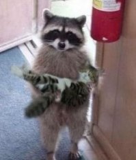 Надо ввести налог на воздух. Люди вдыхают одну смесь, а выдыхают всякую гадость.
 И ещё, один вопрос: крысы, мыши, тараканы и др. считаются домашними?