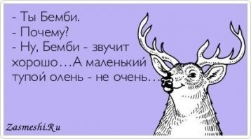 Прикольные и смешные картинки