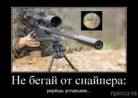 Прикольные и смешные картинки