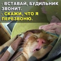 Прикольные и смешные картинки