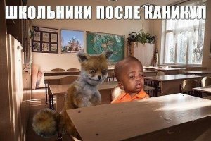 Прикольные и смешные картинки