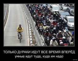 Прикольные и смешные картинки