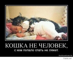 Прикольные и смешные картинки