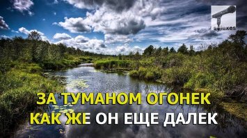 Прикольные и смешные картинки