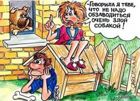 Прикольные и смешные картинки