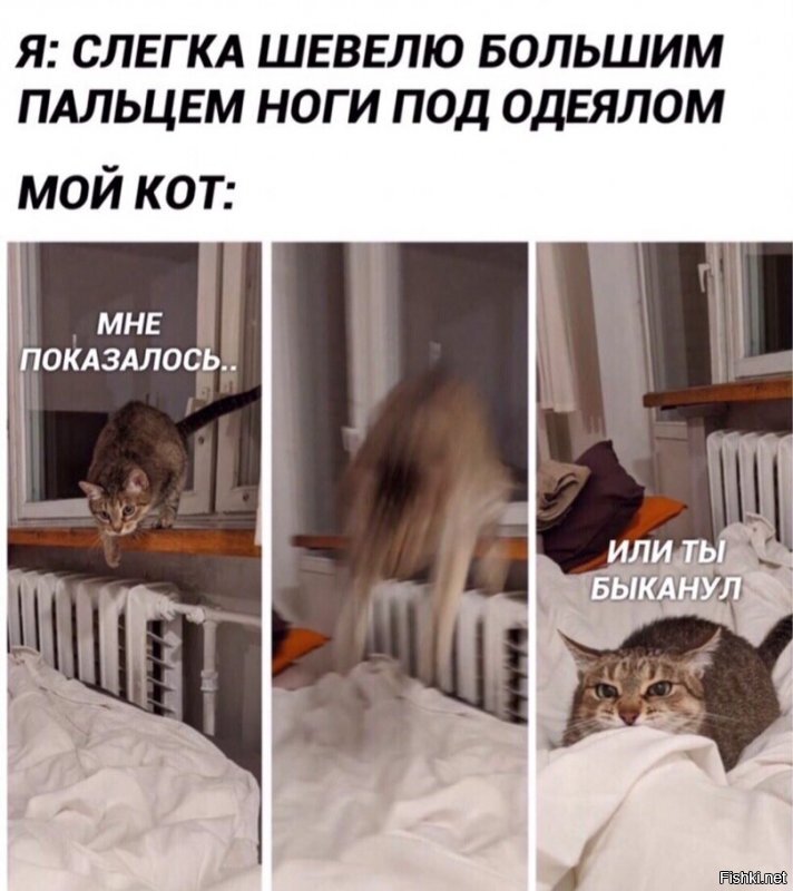 Солянка от 13.04.2020