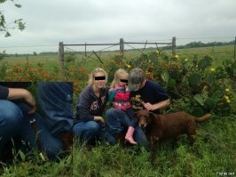 За секунду до: 18 эпичных кадров за мгновение до неизбежного