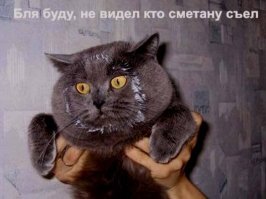 Демотиваторы, от которых у вас улучшится настроение