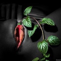 цветок лучше