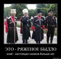 Задержанные в Сочи бомжи избили казаков и сбежали