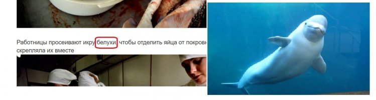 Как это было. 1997 год. На рыбных промыслах Каспия