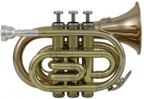 представь лимон - и увеличится слюноотделение
духовикам слюна очень мешает играть, и потом ее из инструмента сливать надо. 
я бы вообще убил и сжёг!

на картинке клапан слива конденсата внизу справа