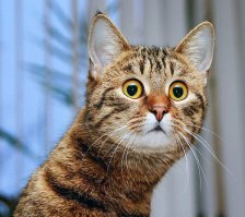 "GPDhost.ru - Лучший хостинг по лучшей цене"- это что сейчас было?