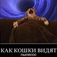 Прикольные и смешные картинки