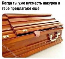 Весёлые картинки