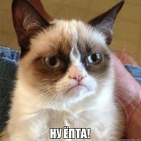 Хулпан Чаматова !?