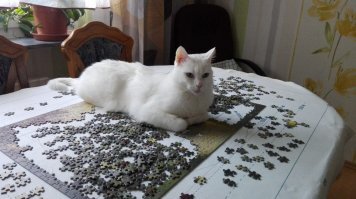 Мой помощник. )))