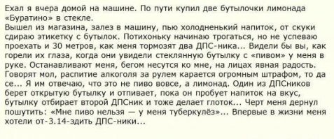Прикольные и смешные картинки