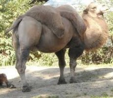 и ещё (к сожалению) так