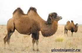 где то так...