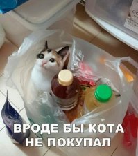 Прикольные и смешные картинки