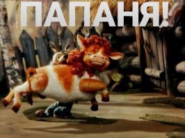 Мужчина спас телёнка, застрявшего головой в раздвоенном дереве