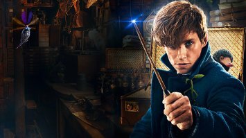 Как по мне - так отстой. Хоть я и не фанат поттерианы, но херовее версию развития франшизы могли сделать только на студии Диснея. Сюжет хромает, актёры не то чтобы играют плохо, подобраны нецдачно. С кого срисован типаж героя Эдди Редмейна понятно сразу и вряд ли это можно назвать хорошей идеей. Короче в топку.