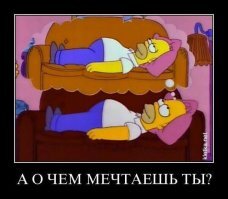 Лига лени на самоизоляции. Это просто праздник какой-то