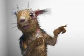 Это белочка и она самый симпатичный член семьи потому что уже третью неделю по зеркалу такое показывают...