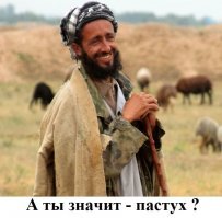 Пользователи сети назвали провалом старт пропускной системы, а Шнуров написал стихотворение