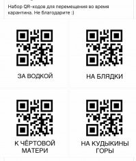В Москве вступил в силу пропускной режим