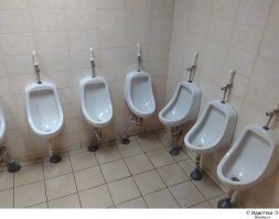 То есть стоя нас не напрягает, а тут прям ужас???