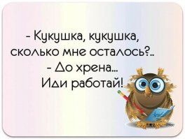 Прикольные и смешные картинки