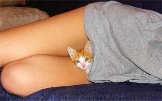 Прикольные и смешные картинки