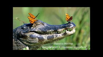 И теперь ему почёт и уважение...