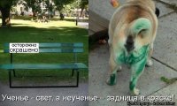 Прикольные и смешные картинки