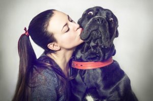 "Подобный эффект наблюдался и у контактирующих с крупным рогатым скором." 
Тоже целуются?