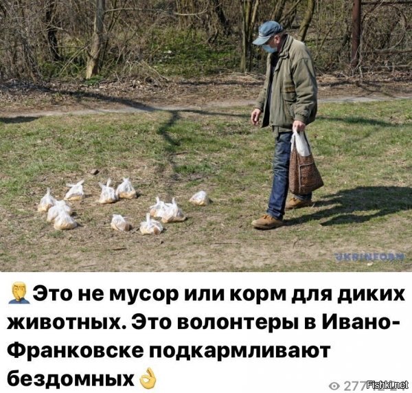 ну отношение ясно. но хотя бы что-то.... да, как собакам..но...хотя бы людям чо то перепадает, пусть и так себе печенье...