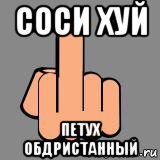 Хозяин показал, как коты переживают одиночество