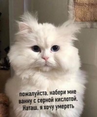 Смешные картинки