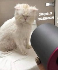 Смешные картинки