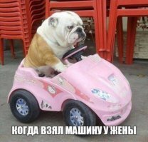 Картинки смешные и не очень