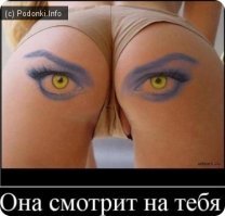 Зачем коровам рисуют глаза на попе?