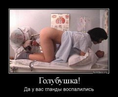 Прикольные и смешные картинки