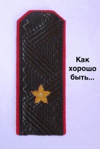 Смешные картинки