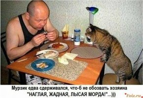 Смешные картинки