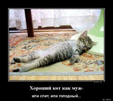 Смешные картинки