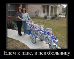 Смешные картинки