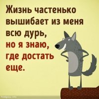 Смешные картинки