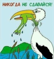 Смешные картинки